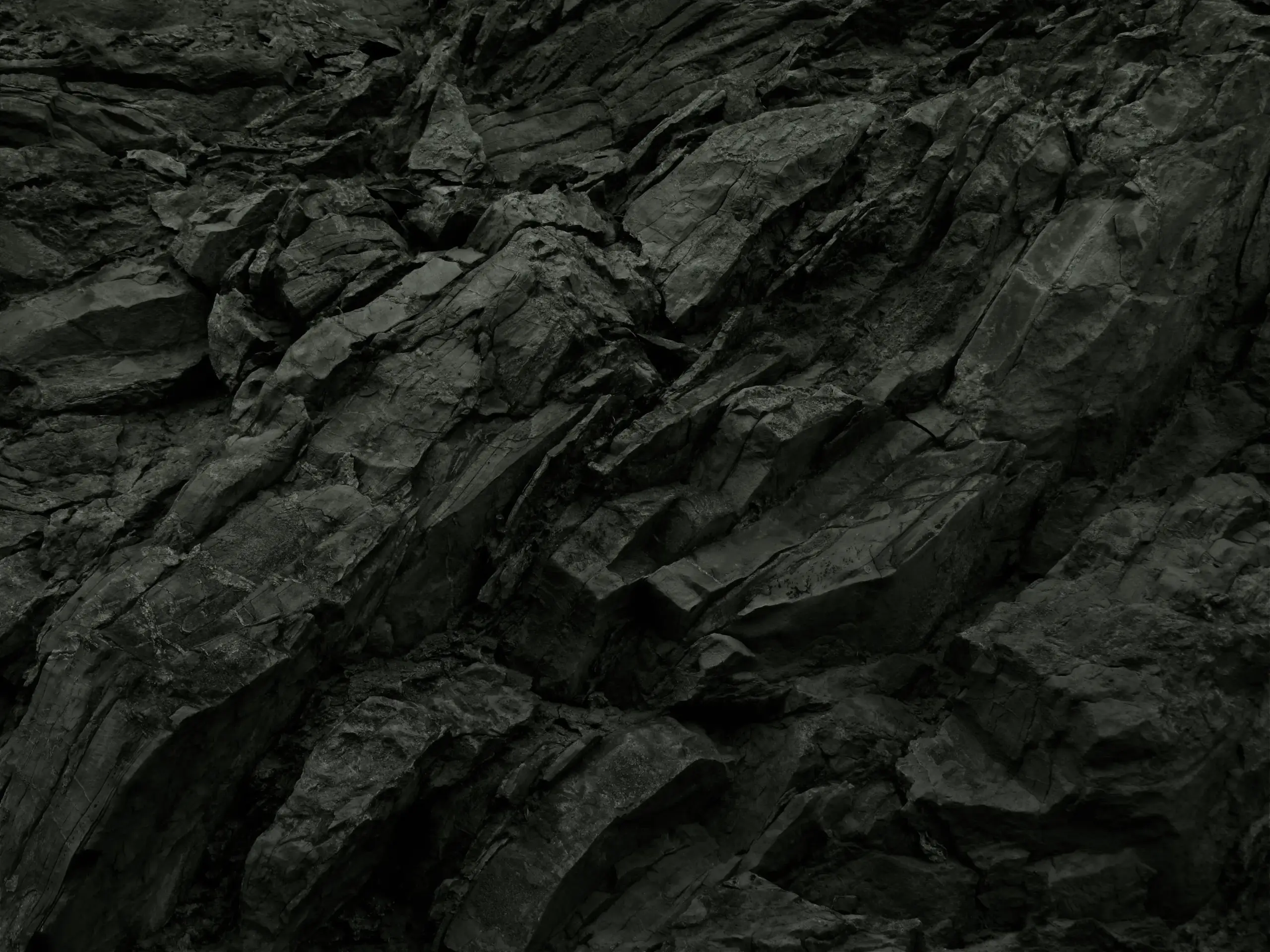 Roche - BVER Solutions